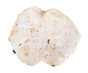 Similar image 12686599