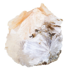 Similar image 12686724