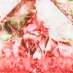 Similar image 12687122