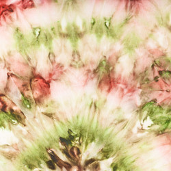 Similar image 12687124