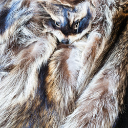 Similar image 12594714