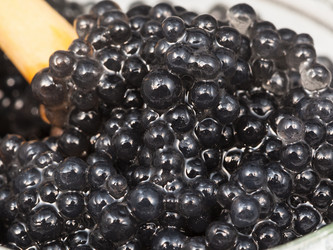 Similar image 12594756