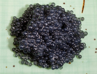 Similar image 12686627