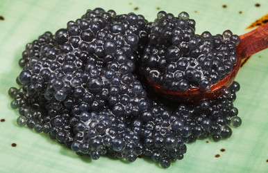 Similar image 12686628