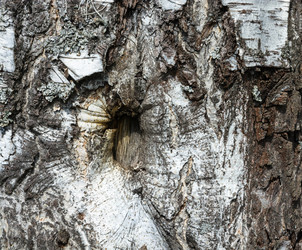 Similar image 12588544