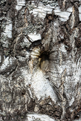 Similar image 12588545