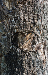 Similar image 12588546