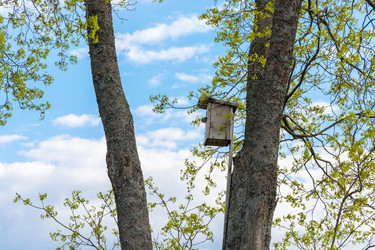 Similar image 12582801