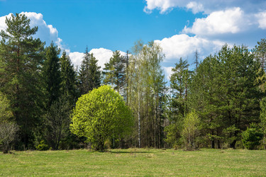 Similar image 12582802