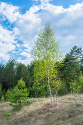 Similar image 12582803