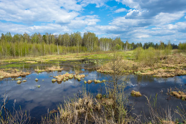 Similar image 12582805