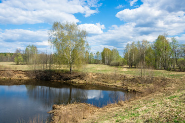 Similar image 12582806