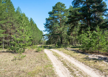 Similar image 12582808