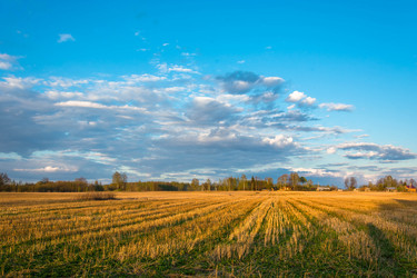 Similar image 12588525