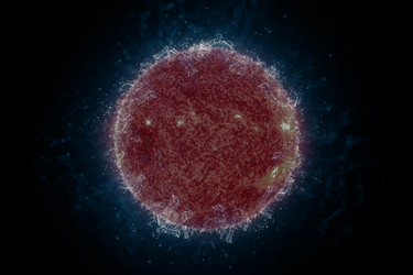 Similar image 12581740