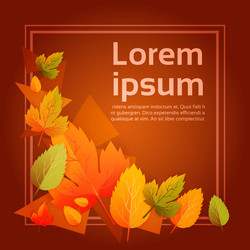 Similar image 12488688