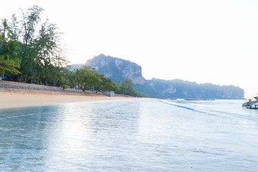 Similar image 12488139