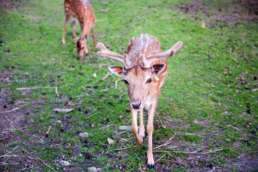 Similar image 12588361