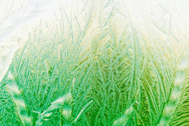 Similar image 12596960