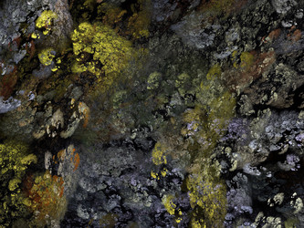 Similar image 12582456