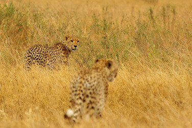 Similar image 12687486