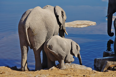 Similar image 12687489