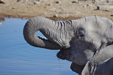 Similar image 12687490