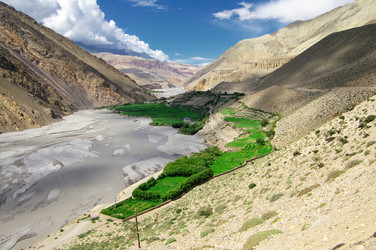 Similar image 12687506