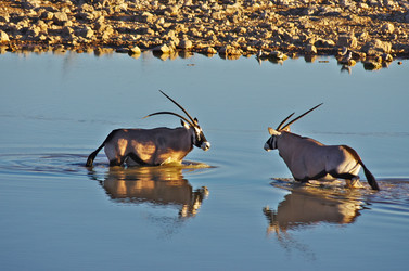 Similar image 12687550