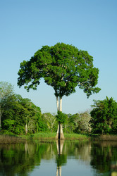 Similar image 12687626