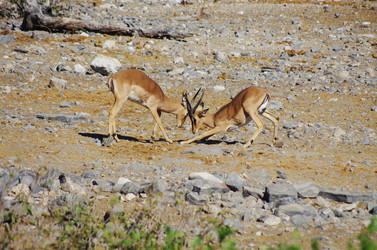 Similar image 12687650