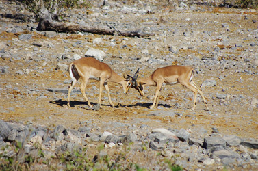 Similar image 12687665