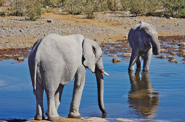 Similar image 12687666