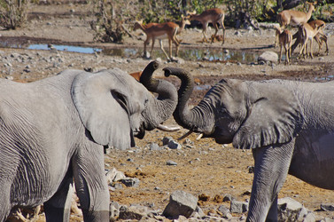 Similar image 12687668