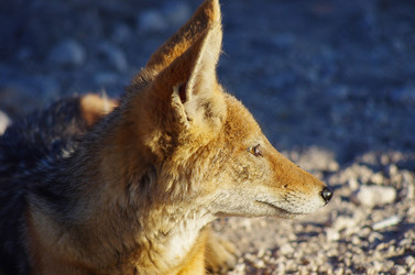 Similar image 12687681