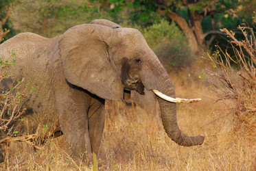 Similar image 12687684