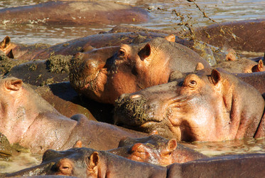 Similar image 12687698