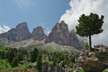 Similar image 12687701