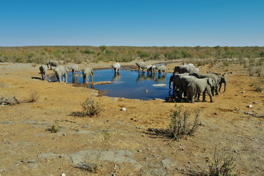 Similar image 12687745