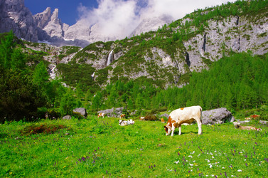 Similar image 12687758