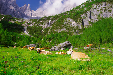 Similar image 12687759