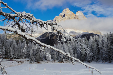 Similar image 12687760