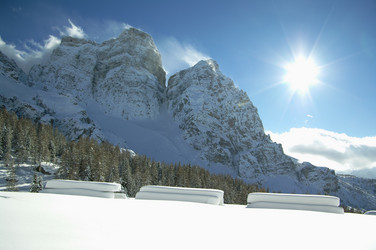 Similar image 12687856