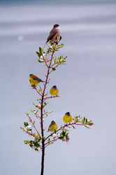 Similar image 12688132