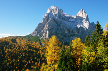 Similar image 12688148