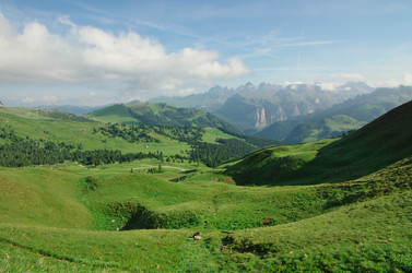 Similar image 12688149