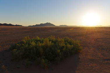 Similar image 12688169