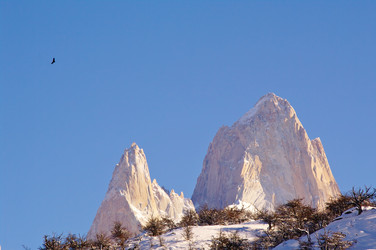 Similar image 12688186