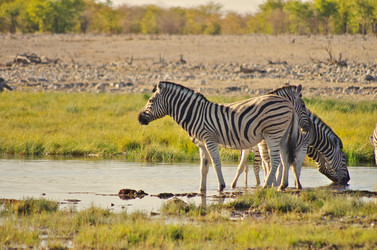 Similar image 12688187