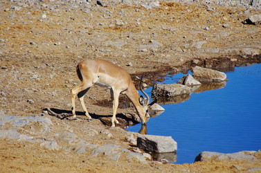 Similar image 12688190